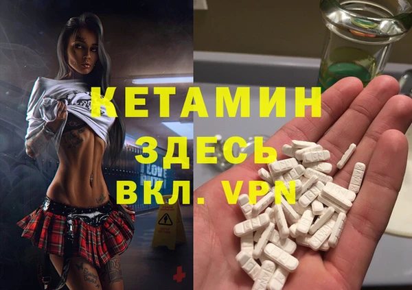 соль ск Ельня