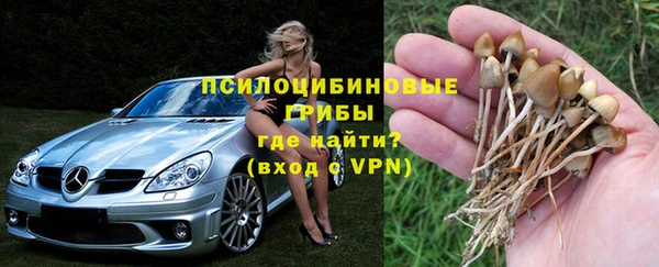 стафф Грязи