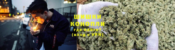 соль ск Ельня