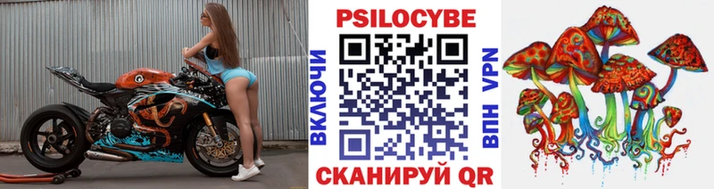 даркнет сайт  Зуевка  площадка клад  Галлюциногенные грибы мухоморы 